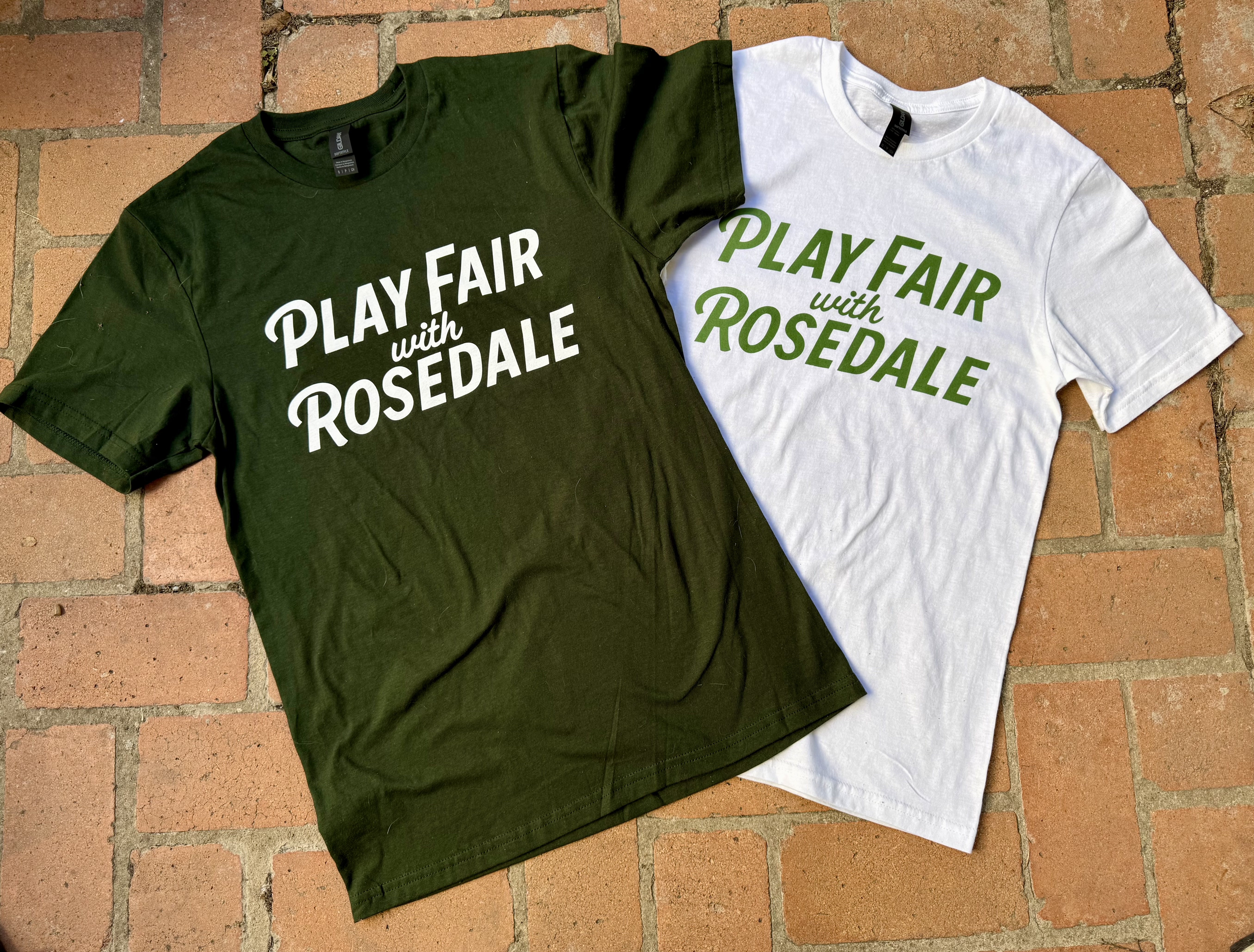 Go Fund Me link for Play Fair with Rosedale